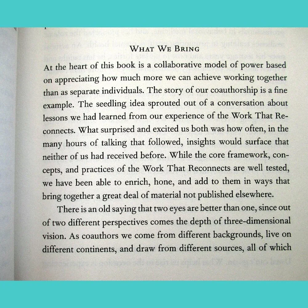 Book - Active Hope: How to Face the Mess We're in Without Going Crazy - Picture 3 of 16